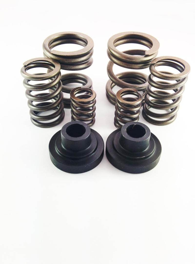 DDP Dodge 94-98 P-Pump 3000 &amp; 4000 RPM Governor Spring Kit