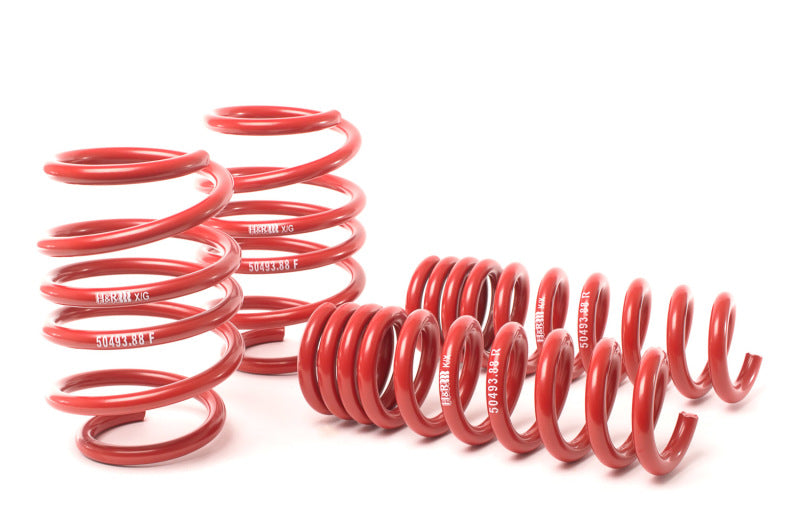 H&amp;R 08-13 BMW M3 Coupe/M3 Sedan E92 Race Spring