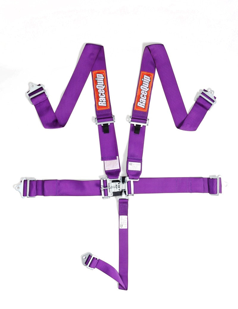 RaceQuip Purple L &amp; L 5pt Seat Belt