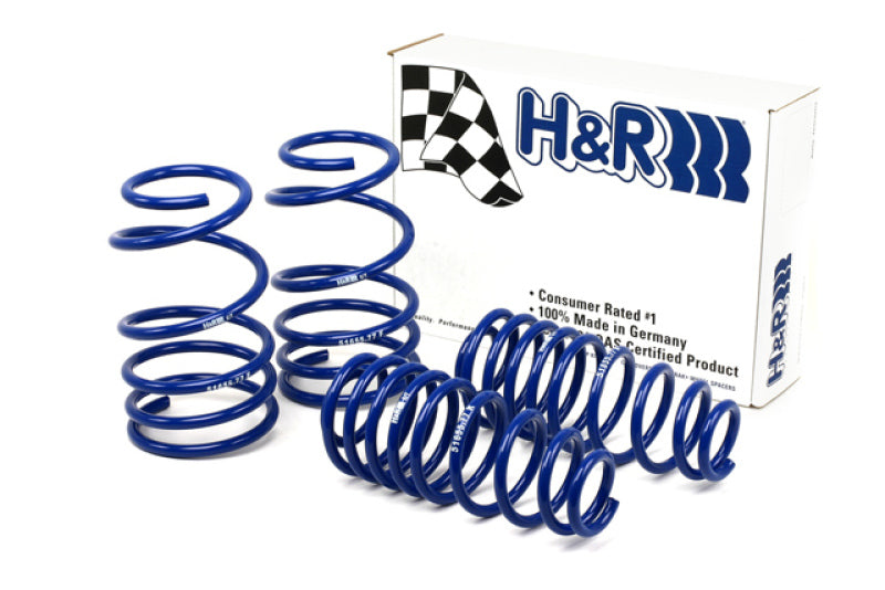 H&amp;R 05-09 Ford Mustang/Convertible/GT/Shelby GT/Shelby GT-H V6/V8 Super Sport Spring