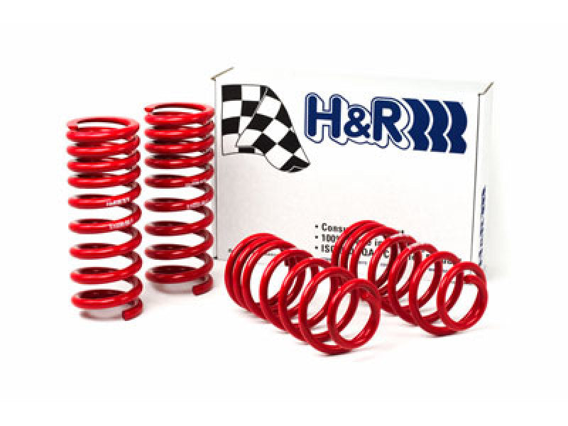 H&amp;R 94-95 Ford Mustang/Mustang Cobra V8 Race Spring