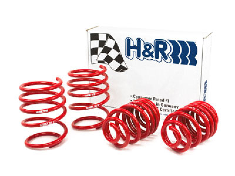 H&amp;R 01-06 BMW 325Ci Cabrio/330Ci Cabrio E46 Race Spring (w/Sport Suspension)