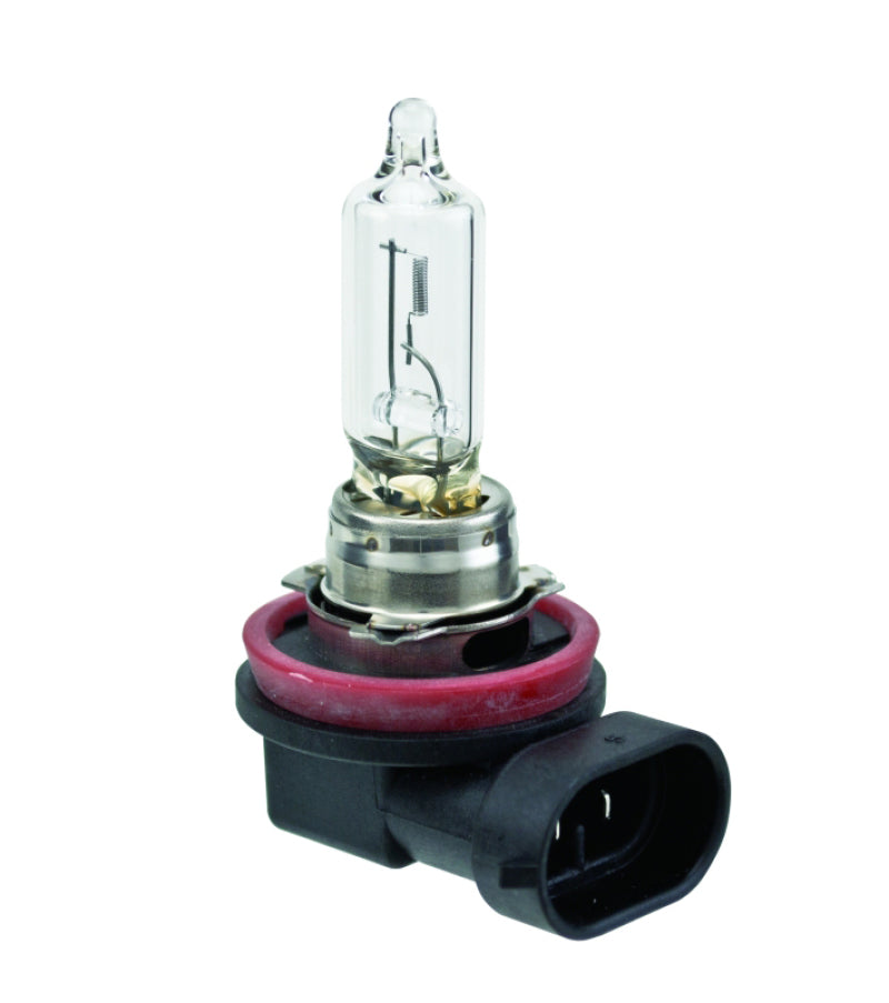 Hella Bulb H9 12V 65W PGJ19-5 T4