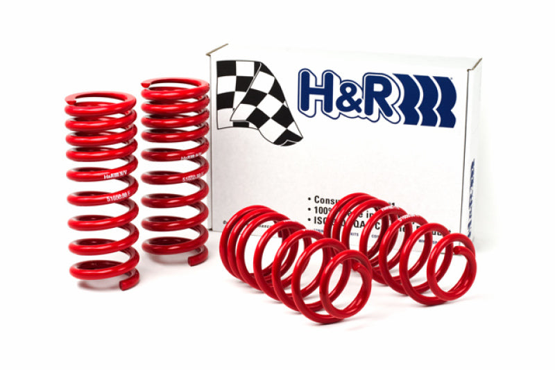 H&amp;R 94-95 Ford Mustang/Mustang Cobra V8 Race Spring