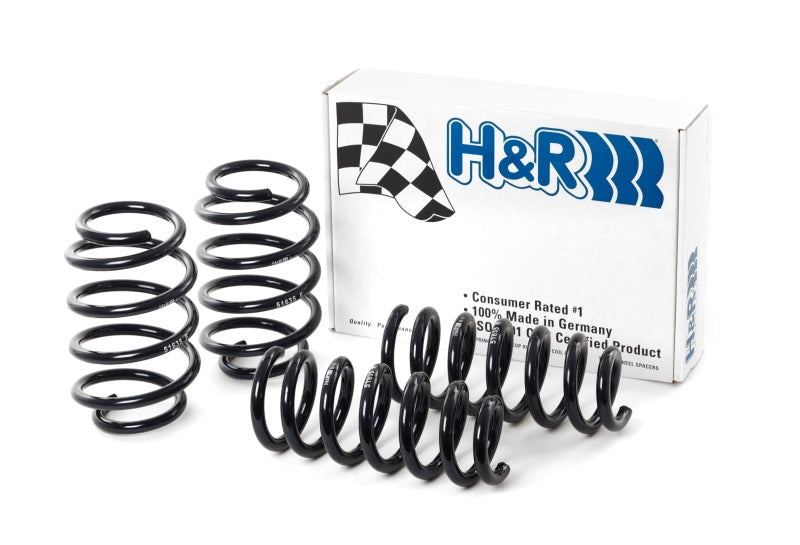 H&amp;R 09-19 Ford Flex (2WD/AWD) Sport Spring